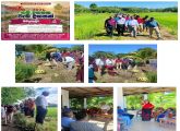 "Praja Shakthi 2026 – A Thousand Projects in a Thousand Villages Programme" 