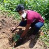 ''අභියෝග ජයගත් ඉසුරුමත් හෙට දිනක් - සෞභාග්‍යමත් මව්බිමක්'' 74 වන ජාතික නිදහස් දින සැමරුම