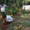 ''අභියෝග ජයගත් ඉසුරුමත් හෙට දිනක් - සෞභාග්‍යමත් මව්බිමක්'' 74 වන ජාතික නිදහස් දින සැමරුම