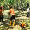 ''අභියෝග ජයගත් ඉසුරුමත් හෙට දිනක් - සෞභාග්‍යමත් මව්බිමක්'' 74 වන ජාතික නිදහස් දින සැමරුම