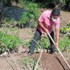 Surakimu Ganga National Program - 2021
