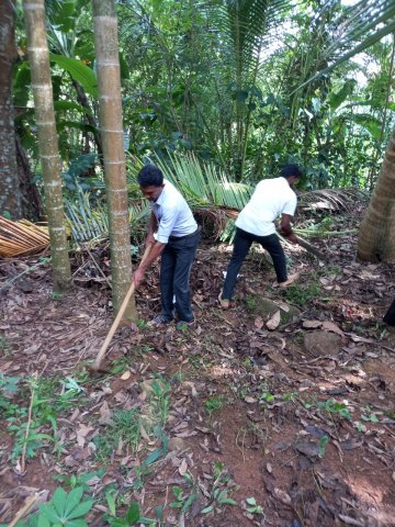ලෝක පරිසර දිනය - 2023