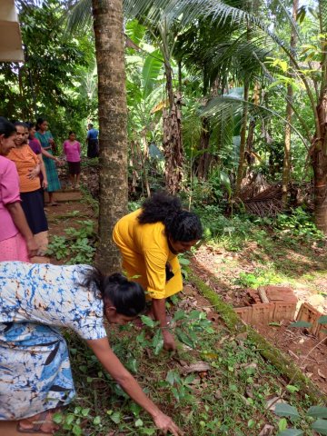 ලෝක පරිසර දිනය - 2023