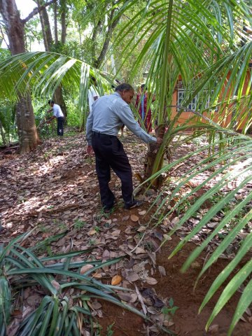ලෝක පරිසර දිනය - 2023