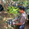 ලෝක පරිසර දිනය - 2023
