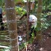ලෝක පරිසර දිනය - 2023