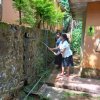 ලෝක පරිසර දිනය - 2023