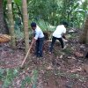 ලෝක පරිසර දිනය - 2023