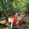 ලෝක පරිසර දිනය - 2023