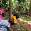 ලෝක පරිසර දිනය - 2023