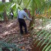 ලෝක පරිසර දිනය - 2023