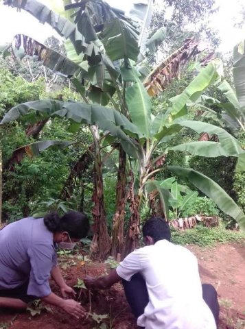 73 වන නිදහස් දින සැමරුම - 2021