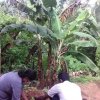 73 වන නිදහස් දින සැමරුම - 2021